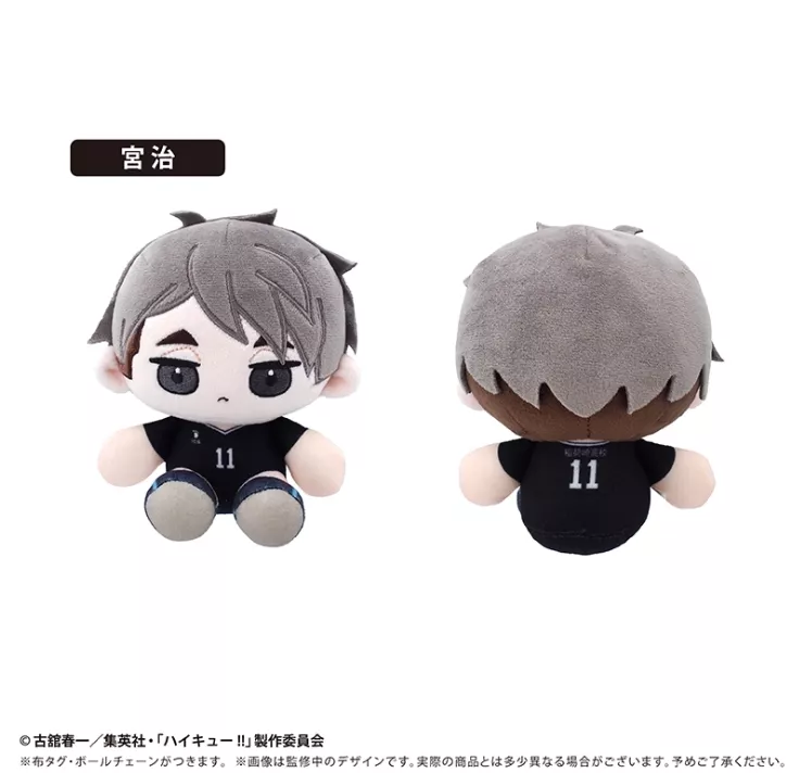 【予約2026年06月】ハイキュー！！ ミニおすわりたぴぬい